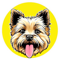 Best coin like Shiba Inu 