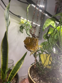 a necklace with a yellow stone hanging from a plant