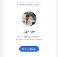 archie dna testing complete