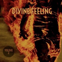 divine feeling vol 2 cover art