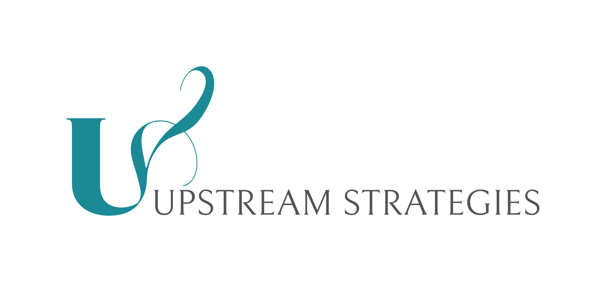 Upstream Strategies