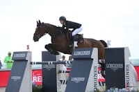 a horse and rider jumping over an obstacle