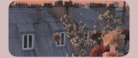 roses on the roof of a building in paris