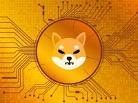 a dog's head on a circuit board