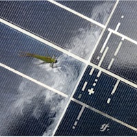 a green insect sitting on top of a solar panel