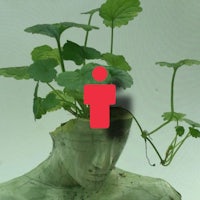 a mannequin with a plant on his head