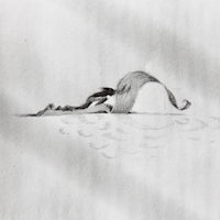 a drawing of a dog laying in the water