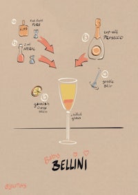 a drawing of the ingredients for a bellini cocktail