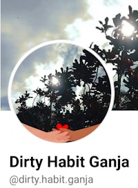 dirty habit ganja - instagram
