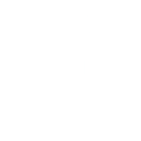 custom alexander mcqueen