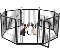 two dogs in a black dog pen