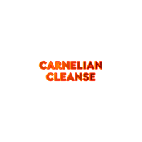 a black background with the words carnelian cleanse