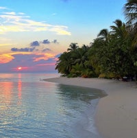 a sunset on a sandy beach with palm trees