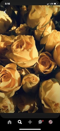 a photo of a bunch of yellow roses on an iphone