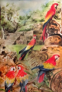 a watercolor painting of parrots in a zoo