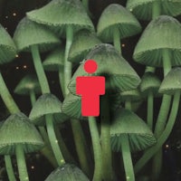 a person is standing in the middle of a group of mushrooms