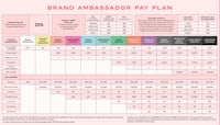 brand ambassador pay plan