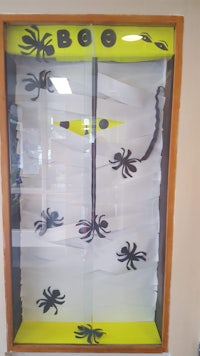 a display of spiders in a window display