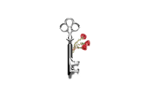 a key with roses on it on a black background