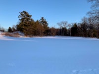 a field covered in snow with trees in the background