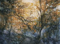 a watercolor painting of trees in a forest