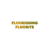 a black background with the words flourishing fluorite