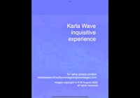 kara wave inquisitive experience