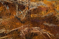 a painting of a rusty piece of metal