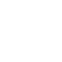 vino vibes honoring the process