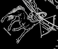 a black and white drawing of a horse and a constellation