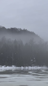 a fog covered lake with trees in the background