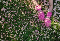 a woman in pink gloves laying in a field of daisies