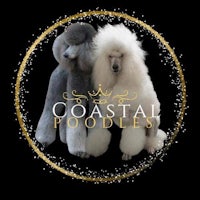 two poodles in a gold circle with the words coastal poodles