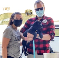 a man and woman wearing face masks holding a black puppy