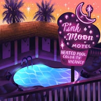 pink moon motel neon sign