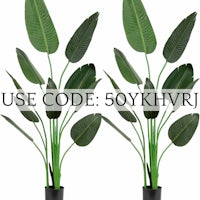 two potted plants with the words use code 50yhvr