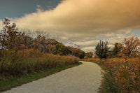 a path in a park with a cloudy sky