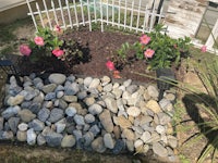 a flower bed with rocks and a white fence