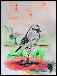 a drawing of a bird perched on a branch