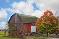 a red barn in the fall with a tree in the background