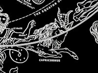 a black and white illustration of the zodiac