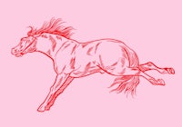 a horse running on a pink background