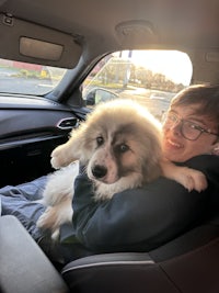a person is holding a dog in the back seat of a car