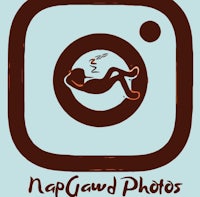 napguard photos logo
