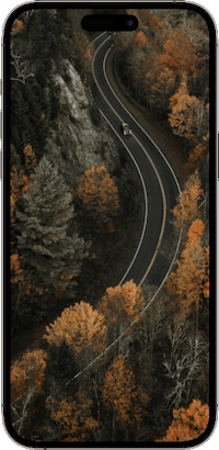 an iphone screen showing a winding road in autumn