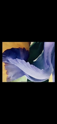 a painting of a purple iris on a black background