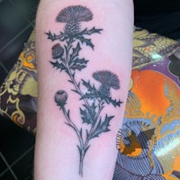 thistle tattoo on the forearm