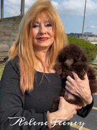 a woman holding a brown poodle