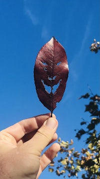 a person holding up a leaf with a smile on it