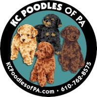 kc poodles of pa logo
